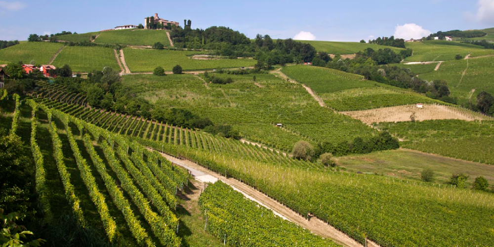 Incentive in the Langhe