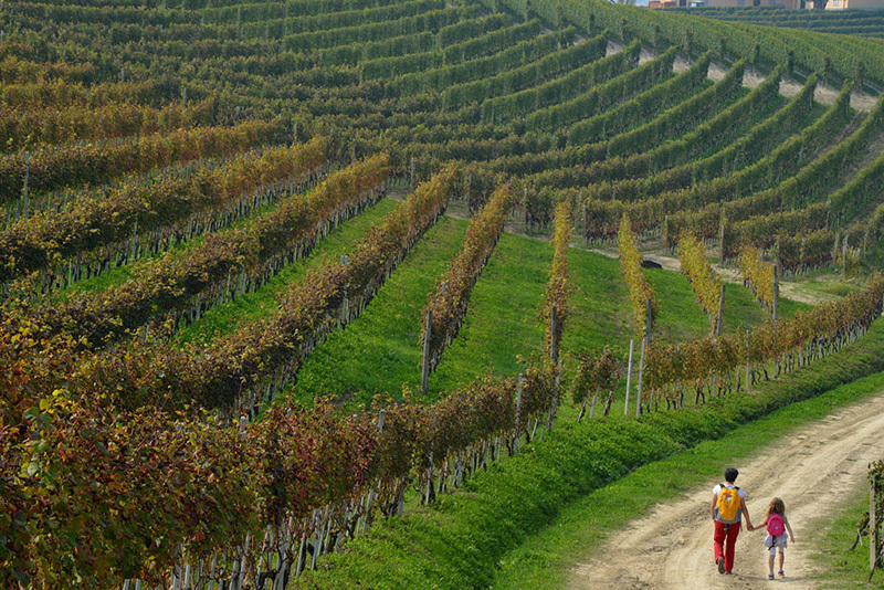 team building langhe trekking e degustazione