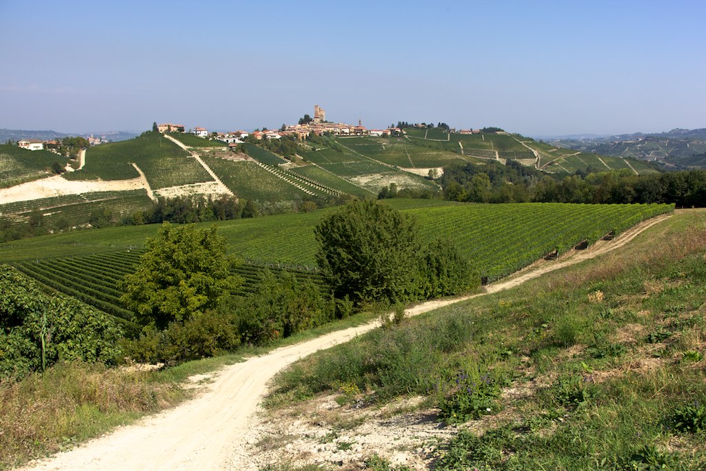 trekking e degustazione langhe monferrato team building viaggio nelle langhe