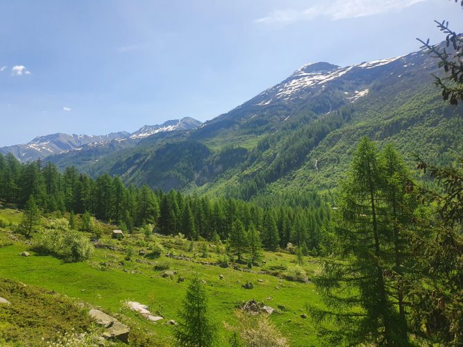 Val ferret